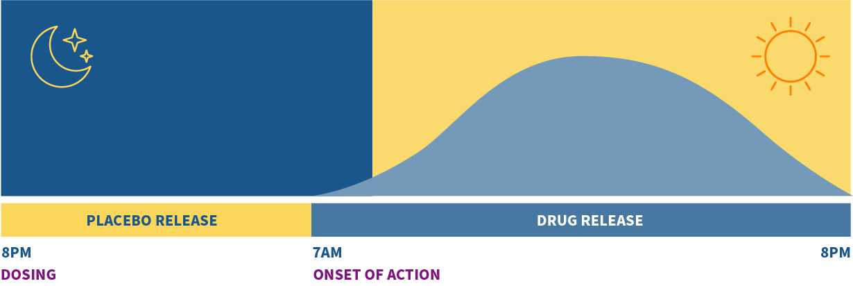 8PM Dosing - 7AM Onset of action